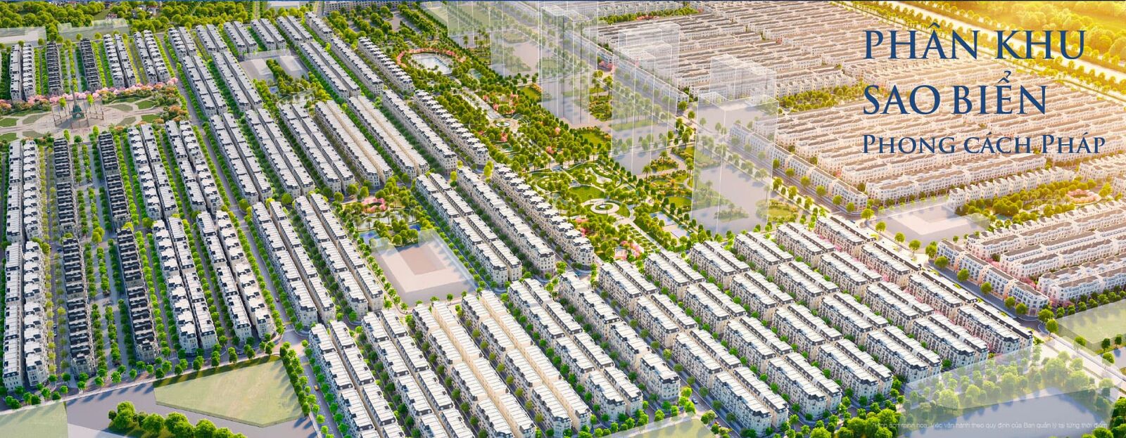 Sao biển